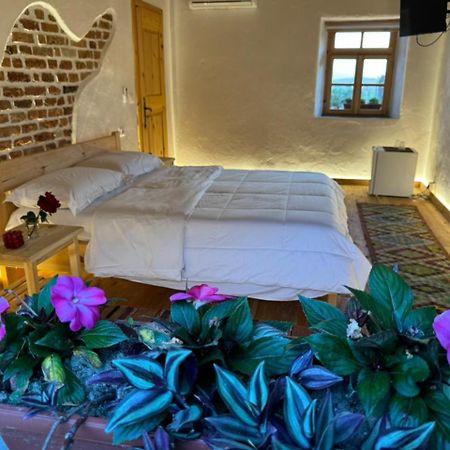 Guesthouse Vitoria - Mrizi I Zanave Fishte Exterior foto