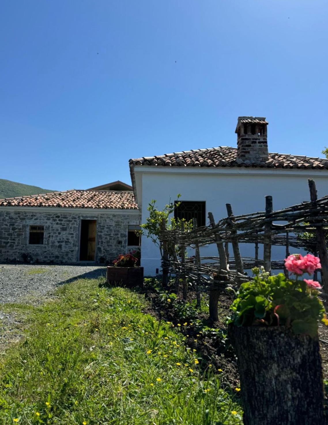 Guesthouse Vitoria - Mrizi I Zanave Fishte Exterior foto